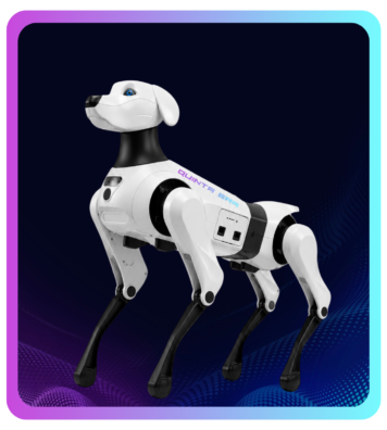 labradornovo de novo